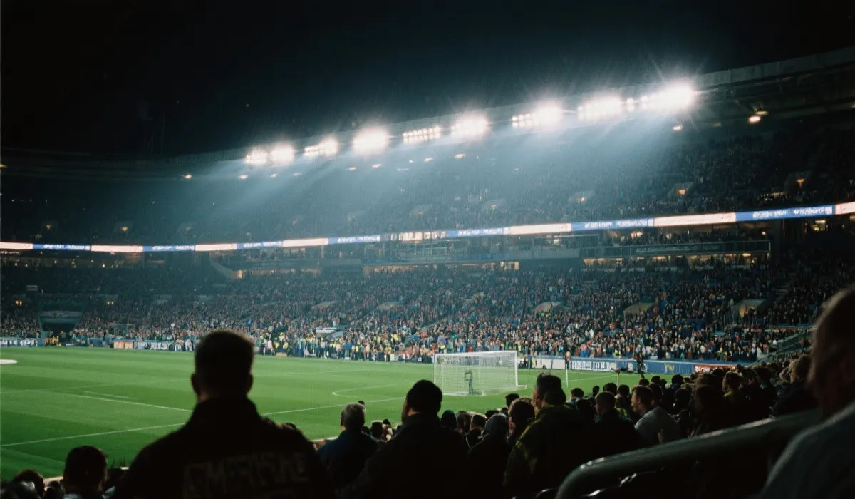 体育赛场与观众氛围